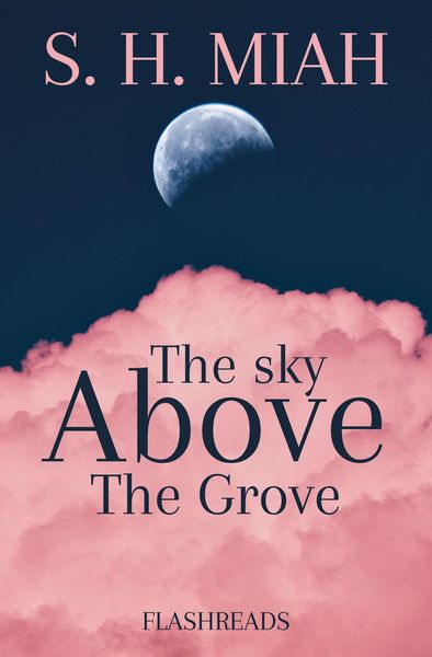 Produktbild: The Sky Above the Grove (Flashreads)