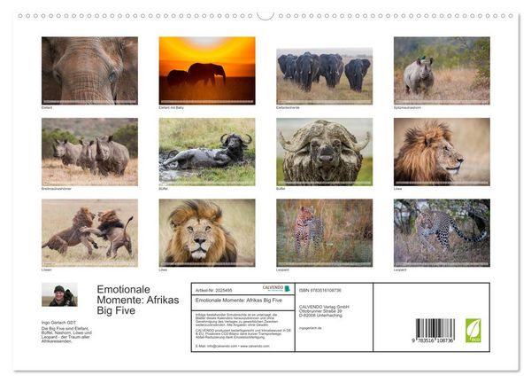 Produktbild: Emotionale Momente: Afrikas Big Five (hochwertiger Premium Wandkalender 2026 DIN A2 quer), Kunstdruck in Hochglanz