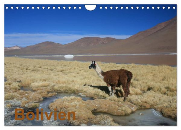 Produktbild: Bolivien (Wandkalender 2026 DIN A4 quer), CALVENDO Monatskalender