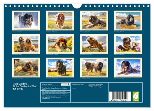 Produktbild: Tibet Mastiffs. Stolze Seelen im Wind der Berge (Wandkalender 2026 DIN A4 quer), CALVENDO Monatskalender
