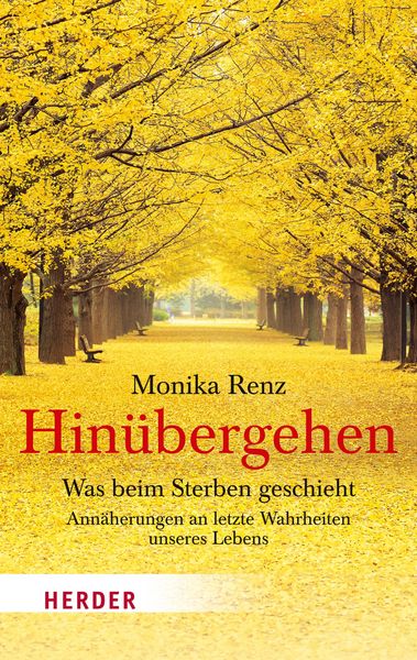 Produktbild: Hinübergehen