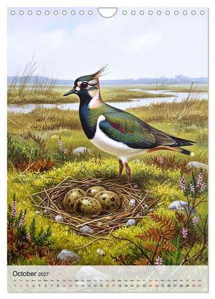 Produktbild: Birds of Europe in Old Paintings (Wall Calendar 2027 DIN A4 portrait), CALVENDO 12 Month Wall Calendar