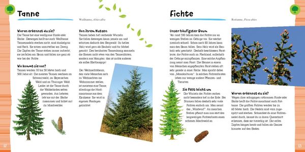 Produktbild: Tiere und Pflanzen entdecken mit 38 Vogelstimmen als QR-Codes: Naturf&uuml;hrer f&uuml;r Kinder ab 7 Jahren