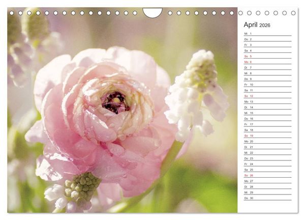 Produktbild: Blumenfreude Terminkalender (Wandkalender 2026 DIN A4 quer), CALVENDO Monatskalender