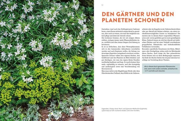 Produktbild: W&auml;chst fast ohne Wasser