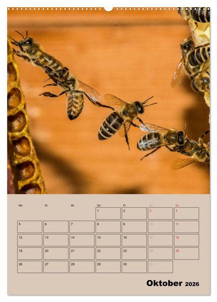 Produktbild: Bienenplaner (Wandkalender 2026 DIN A2 hoch), CALVENDO Monatskalender