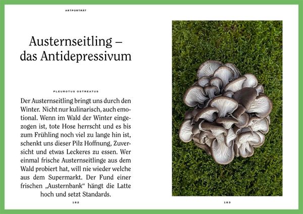 Produktbild: Mushroom Fever