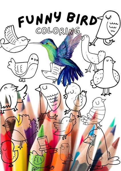 Produktbild: Funny Bird Coloring Book
