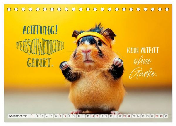 Produktbild: Meerschweinchen LUSTIG DURCHS JAHR (Tischkalender 2026 DIN A5 quer), CALVENDO Monatskalender