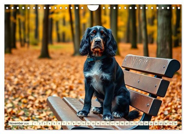 Produktbild: American Cocker Spaniel (Wandkalender 2026 DIN A4 quer), CALVENDO Monatskalender