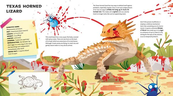 Produktbild: Weird and Wonderful Gross Animals