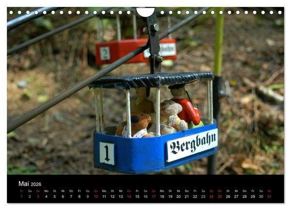 Produktbild: Der B&auml;rchenkalender 2026 (Wandkalender 2026 DIN A4 quer), CALVENDO Monatskalender