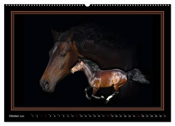 Produktbild: Traumpferde-ART-Collection (Wandkalender 2026 DIN A2 quer), CALVENDO Monatskalender