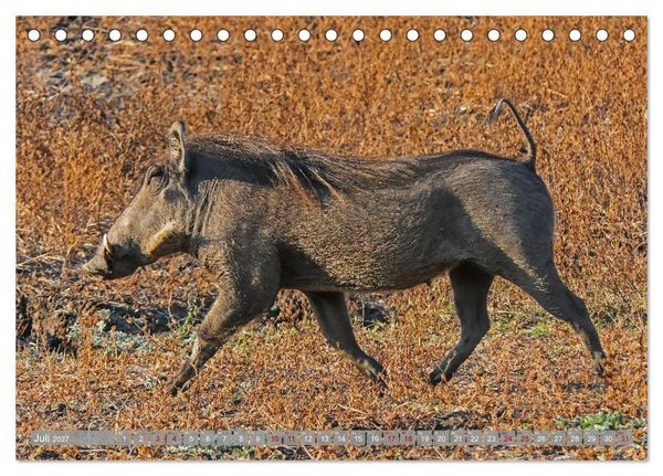 Produktbild: Unbekanntes Paradies Sambia (Tischkalender 2027 DIN A5 quer), CALVENDO Monatskalender