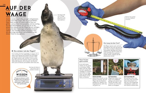 Exklusive Einblicke! Zoo
