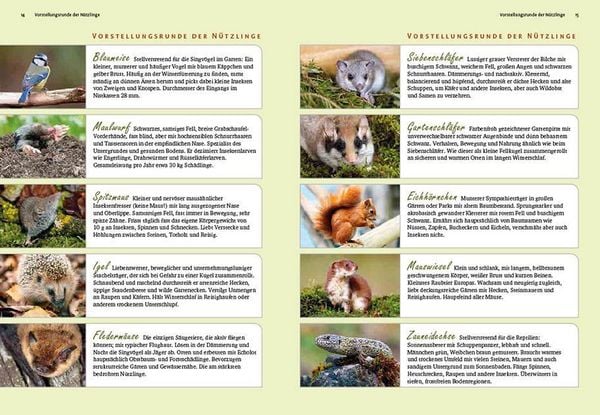 Produktbild: Ideenbuch N&uuml;tzlingshotels