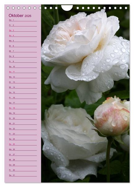 Produktbild: Rosen Symphonie (Wandkalender 2026 DIN A4 hoch), CALVENDO Monatskalender