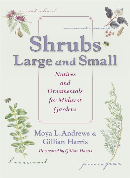 Produktbild: Shrubs Large and Small