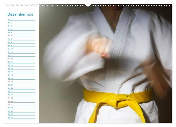 Produktbild: Kampfsport (hochwertiger Premium Wandkalender 2026 DIN A2 quer), Kunstdruck in Hochglanz