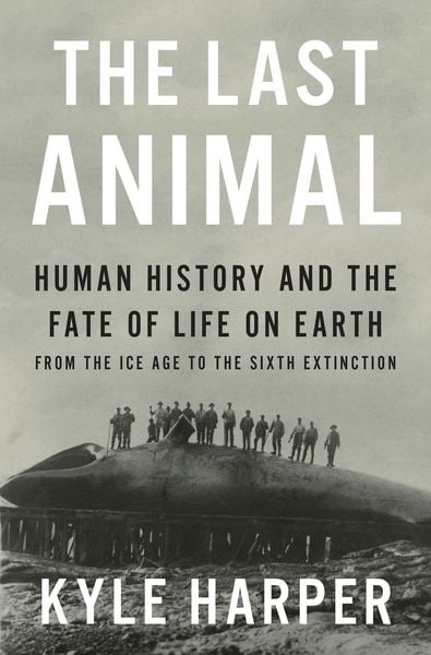 Produktbild: The Last Animal