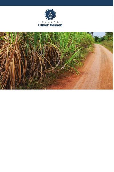 Herstellung von Furfural aus Zuckerrohr-Bagasse, Taschenbuch von Hayelom Gebre Ashale, Verlag Unser Wissen, 9786204891675