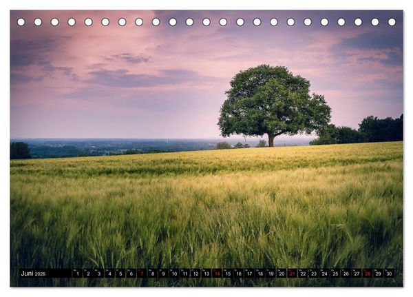 Produktbild: Das M&uuml;nsterland - Meine Impressionen (Tischkalender 2026 DIN A5 quer), CALVENDO Monatskalender