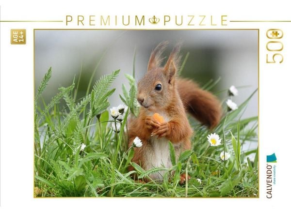 CALVENDO Puzzle Lucien in der Blumenwiese | 500 Teile Lege-Größe 48 × 36 cm Foto-Puzzle für Erwachsene