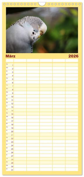 Produktbild: Familienplaner 2026 - Wellensittichkalender! - Das Original mit 5 Spalten (Wandkalender, 21 x 45 cm) CALVENDO