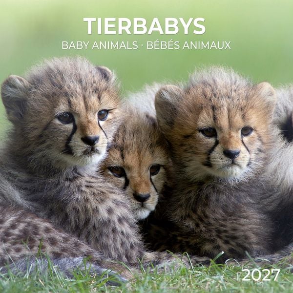 Produktbild: Tierbabys / Baby Animals 2027