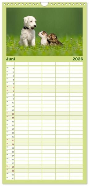 Produktbild: Familienplaner 2026 - K&auml;tzchen 2026 mit 5 Spalten (Wandkalender, 21 x 45 cm) CALVENDO