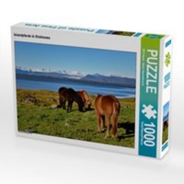 CALVENDO Puzzle Islandpferde in Stokksnes | 1000 Teile Lege-Größe 64x48cm Foto-Puzzle für glückliche Stunden