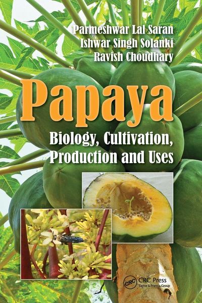 Produktbild: Papaya