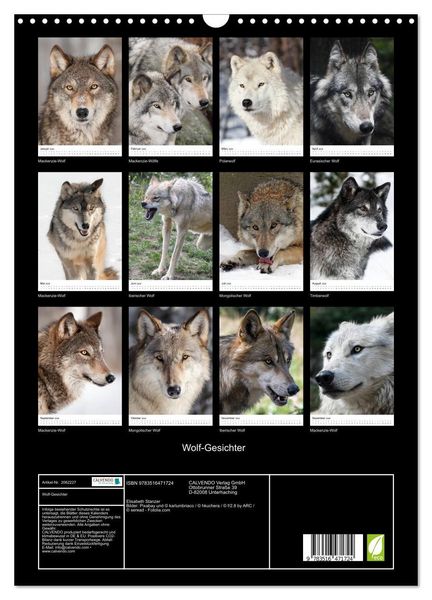Produktbild: Wolf-Gesichter (Wandkalender 2026 DIN A3 hoch), CALVENDO Monatskalender