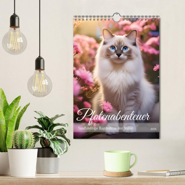 Produktbild: Pfotenabenteuer - Ragdolls in der Natur (Wandkalender 2026 DIN A4 hoch), CALVENDO Monatskalender