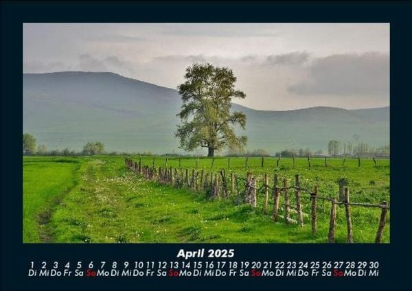 Produktbild: Blick in die Natur 2025 Fotokalender DIN A5