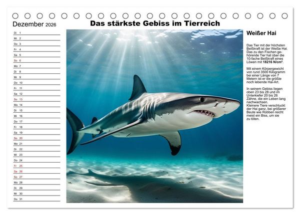 Produktbild: Tierische Rekorde (Tischkalender 2026 DIN A5 quer), CALVENDO Monatskalender