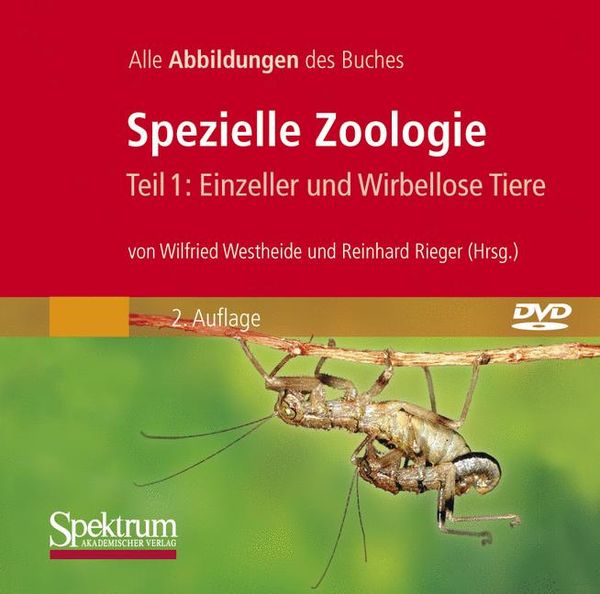 Spezielle Zoologie. Teil 1 /2. Paket. Teil 1: Einzeller und Wirbellose... / Bild-DVD, Spezielle Zoologie, Teil 1: Einzel