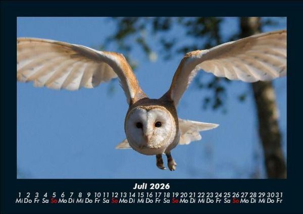 Produktbild: Welt der V&ouml;gel 2026 Fotokalender DIN A5