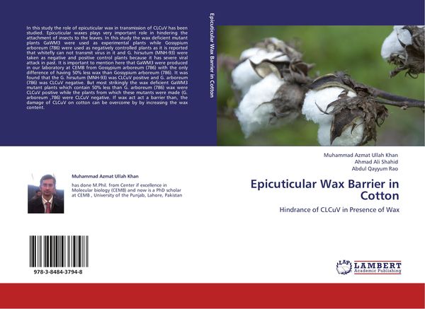 Produktbild: Epicuticular Wax Barrier in Cotton