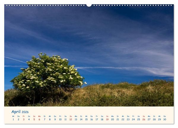 Produktbild: Urlaub auf Borkum (hochwertiger Premium Wandkalender 2026 DIN A2 quer), Kunstdruck in Hochglanz