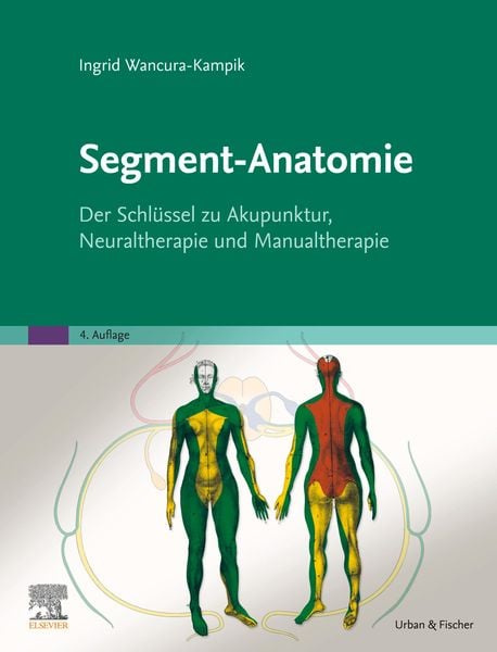 Produktbild: Segment-Anatomie