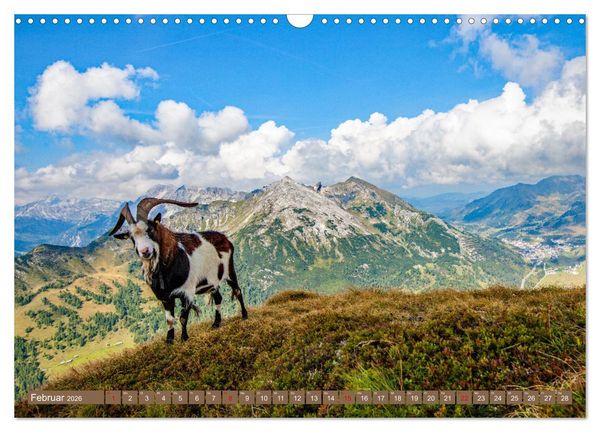 Produktbild: Wir sind die Stars in den Bergen (Wandkalender 2026 DIN A3 quer), CALVENDO Monatskalender