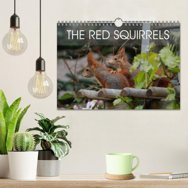 Produktbild: The red squirrels (Wall Calendar 2026 DIN A4 landscape), CALVENDO 12 Month Wall Calendar