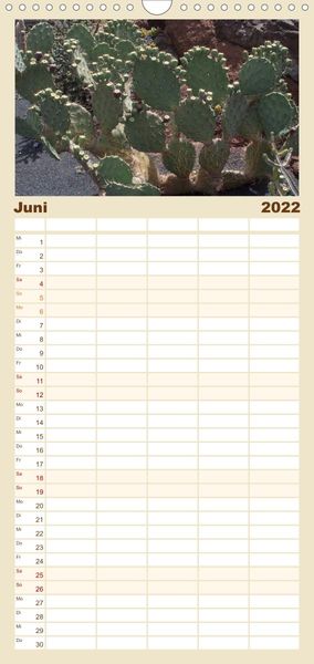 Produktbild: Familienplaner Faszination Kakteen (Wandkalender 2022 , 21 cm x 45 cm, hoch)