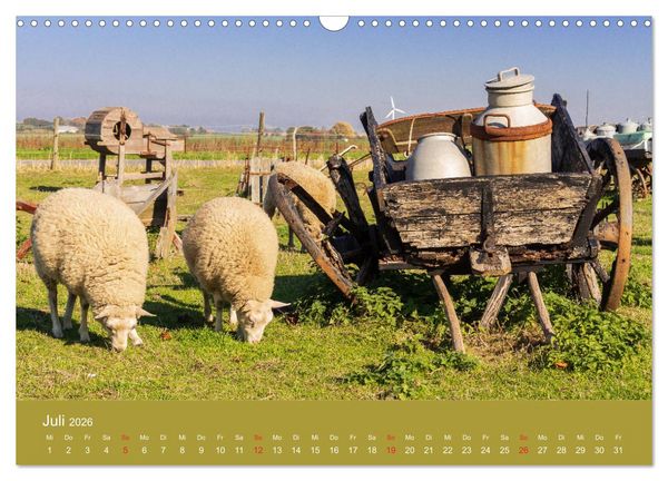 Produktbild: M&ouml;n, Impressionen einer d&auml;nischen Insel (Wandkalender 2026 DIN A3 quer), CALVENDO Monatskalender