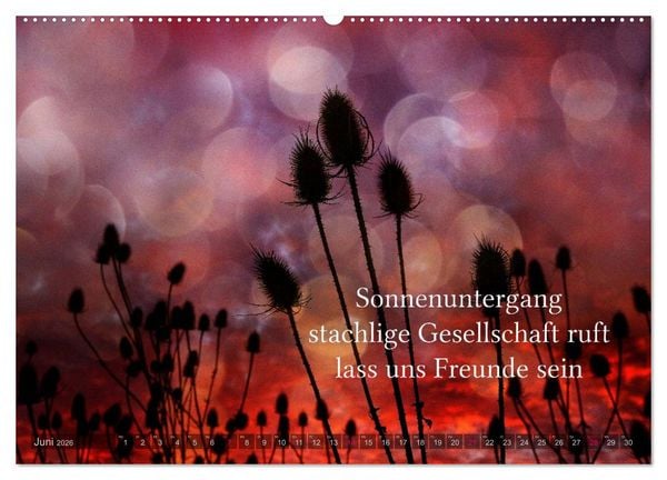 Produktbild: Haiku - Gedichte in 17 Silben (Wandkalender 2026 DIN A2 quer), CALVENDO Monatskalender