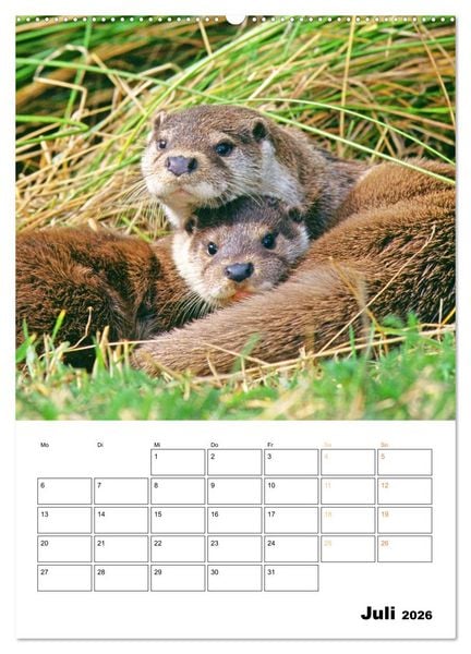 Produktbild: Wilde Tiere: Zuhause in Wald und Flur (hochwertiger Premium Wandkalender 2026 DIN A2 hoch), Kunstdruck in Hochglanz
