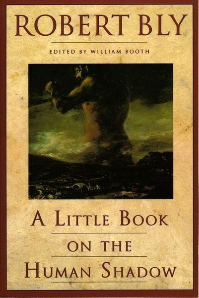 Produktbild: A Little Book on the Human Shadow