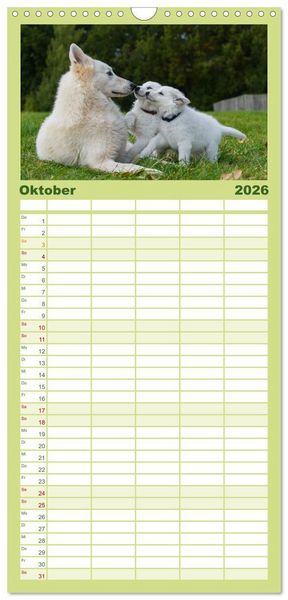 Produktbild: Familienplaner 2026 - Wei&szlig;er Schweizer Sch&auml;ferhund - Ein Tag im Leben einer Hundefamilie mit 5 Spalten (Wandkalender, 21 x 45 cm) CALVENDO