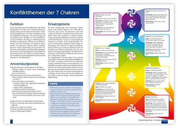 Produktbild: Praxisbuch Neue Hom&ouml;opathie. Band 2